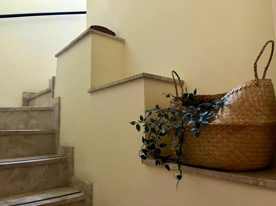 Apartamento Suite Alameda De Hercules セビリア エクステリア 写真