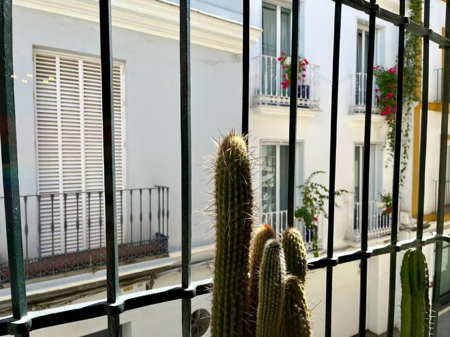 Apartamento Suite Alameda De Hercules セビリア エクステリア 写真